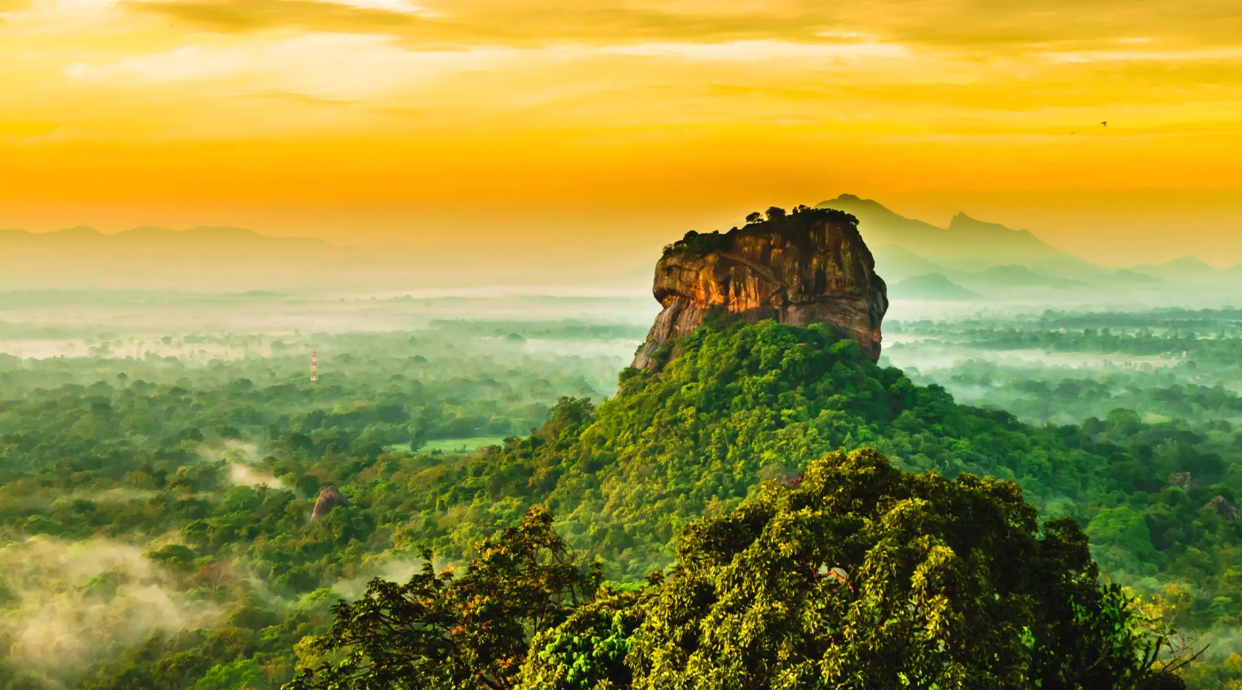 Sigiriya Rock rising above misty jungle at sunrise in Sri Lanka